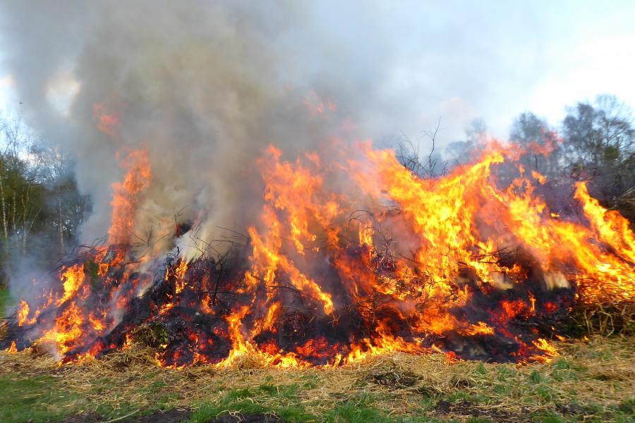 У Києві за тиждень загасили пожеж в екосистемах майже на 2 гектарах