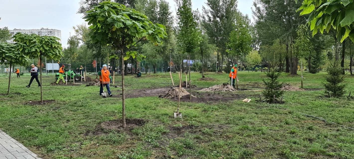 Озеленіння Києва: з початку року висадили чотири мільйони квітів